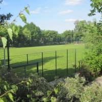 tl_files/News/Gebaeude-Anlagen/Rasenplatz.jpg